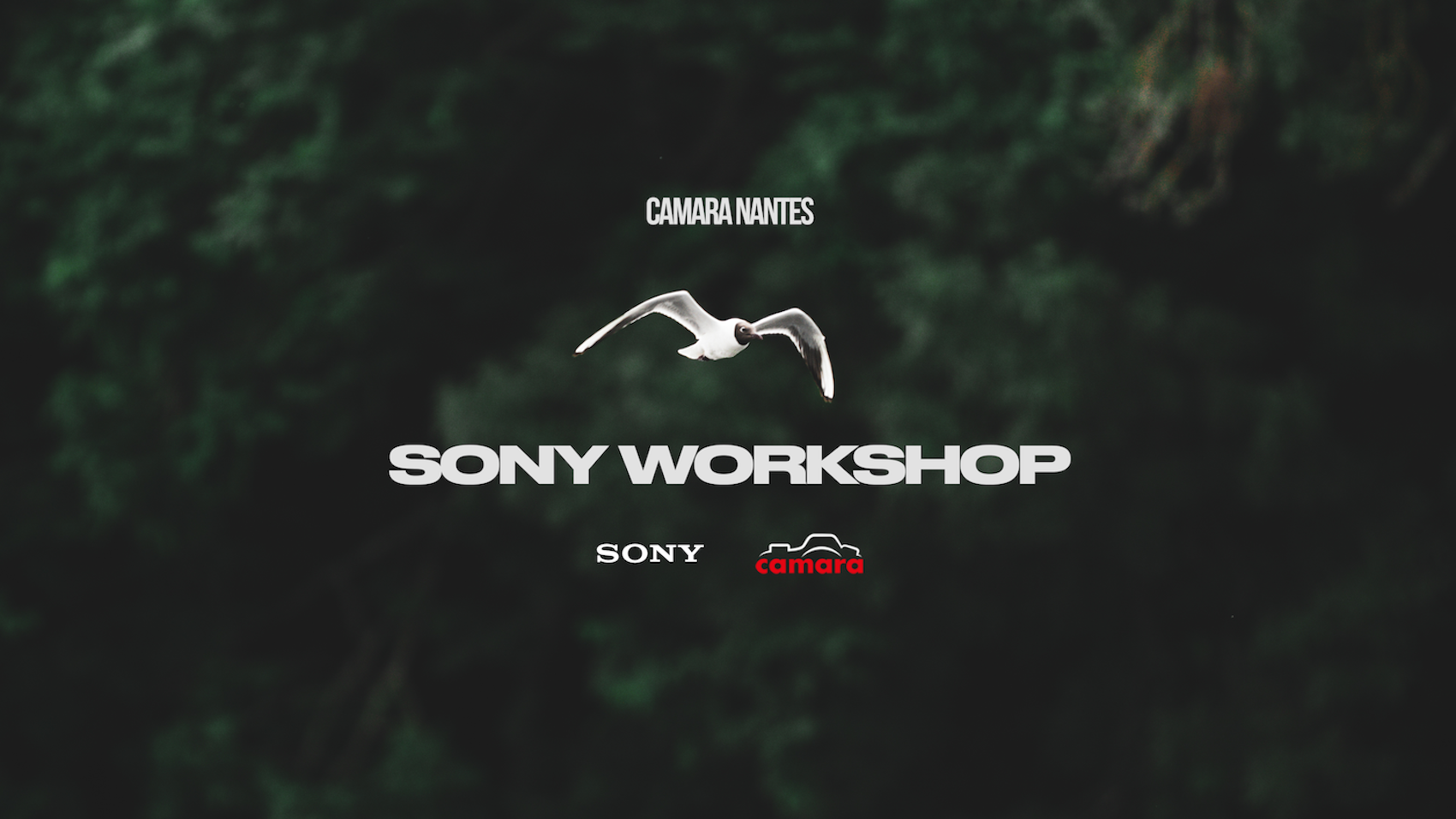 SONY WORKSHOP